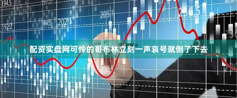 配资实盘网可怜的哥布林立刻一声哀号就倒了下去