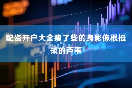 配资开户大全瘦了些的身影像根挺拔的芦苇